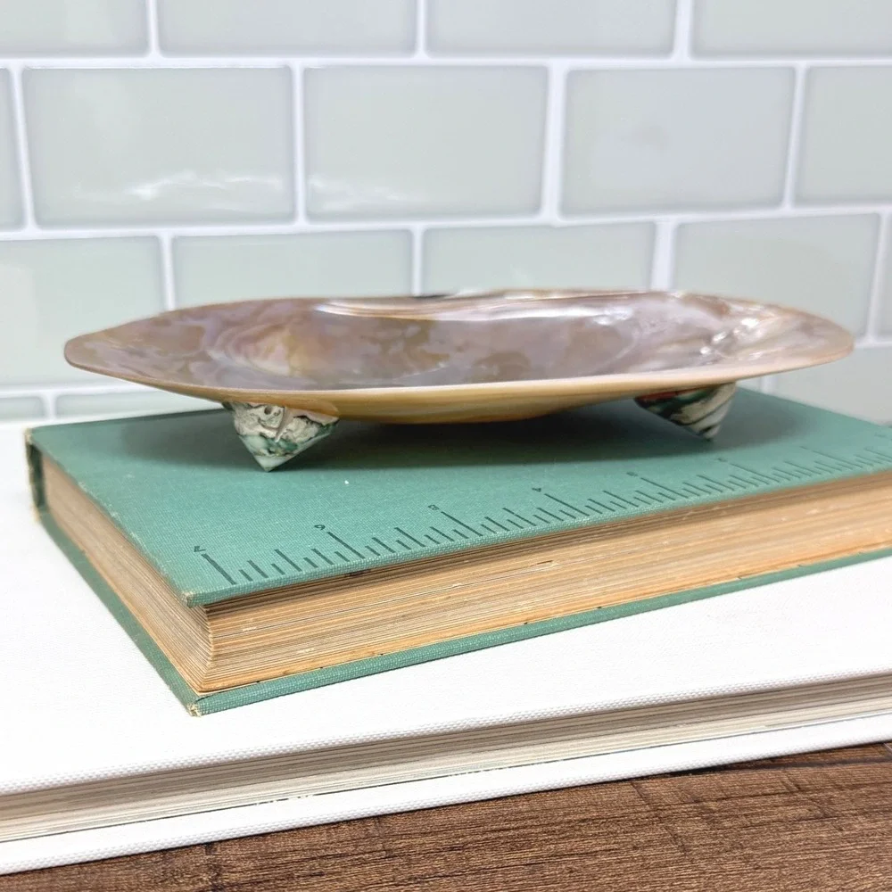 Mother of Pearl Shell Catchall Dish | Coastal Shell Craft Trinket Tray Feet